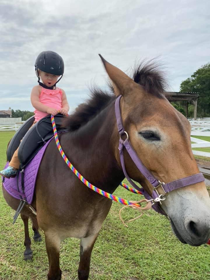 Rider with Horse